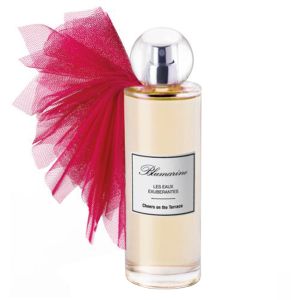 Cheers On The Terrace Woman Edt